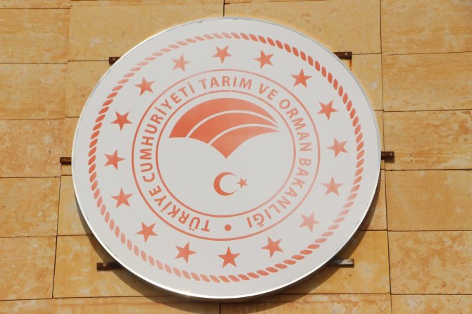 Mardin’de 668 çiftçiye yüzde 75 hibeli mercimek ve nohut tohumu dağıtıldı